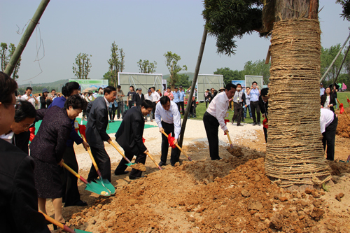 宜兴市太华成为中华亲情林首批建设基地