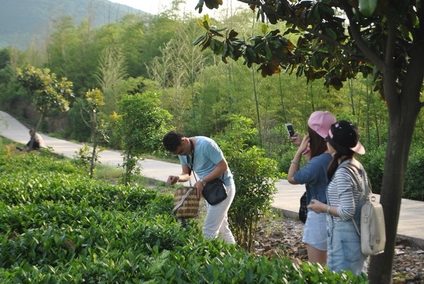 常州奥迪车主宜兴竹海自驾游圆满结束