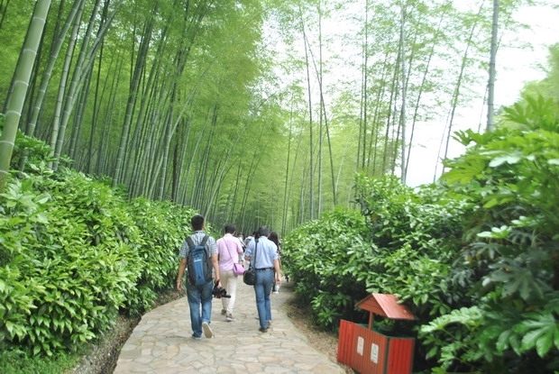 常州奥迪车主宜兴竹海自驾游圆满结束