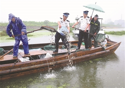 宜兴500万尾鱼苗放流内河水域