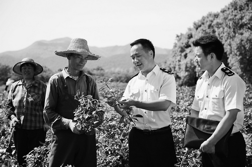 第一時間選派工作人員赴江蘇省唯一的出口茶葉示範區--項珍茶場,指導