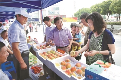 宜兴市草莓协会主办产销会