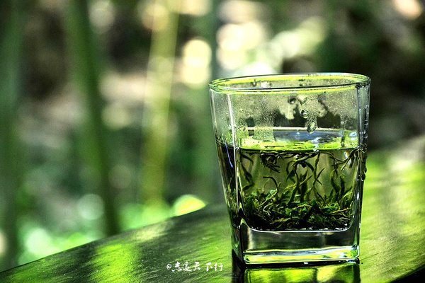 【深氧界的夏天】在宜兴竹海,读懂这杯茶。