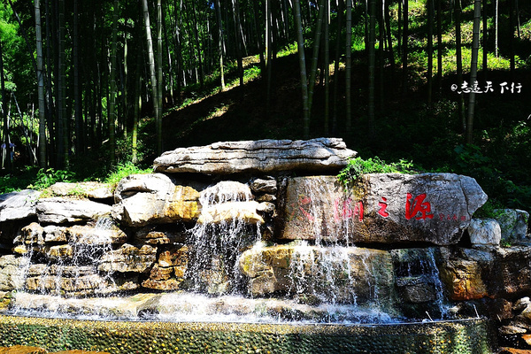 【深氧界的夏天】在宜兴竹海,读懂这杯茶。