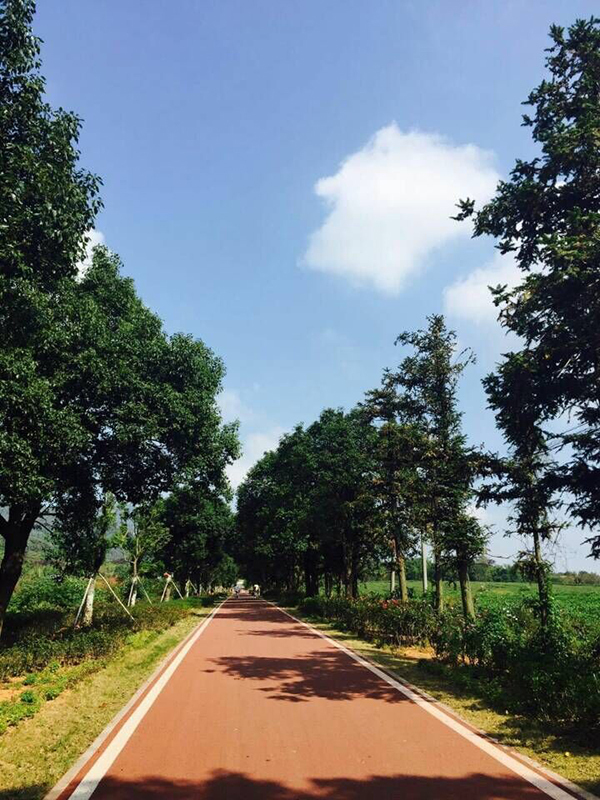宜兴湖氵父打造深氧界·3H生活旅游度假区