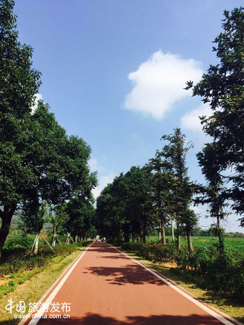 全国网媒记者关注江苏宜兴在湖㳇遇见桃花源