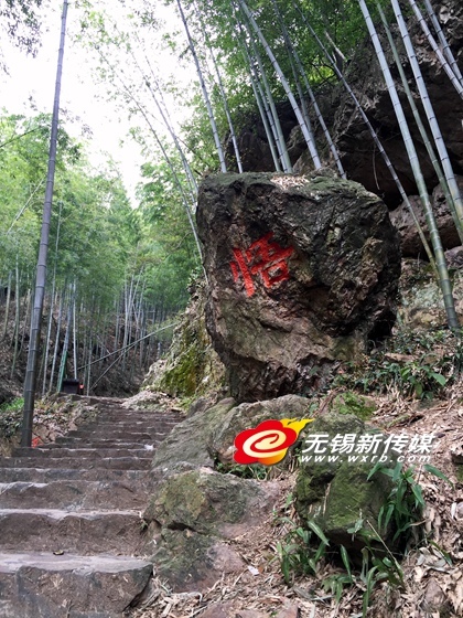 美籍华人眼中的无锡宜兴美:带你一起宜兴去看海