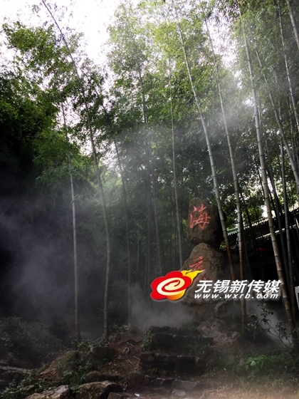 美籍华人眼中的无锡宜兴美:带你一起宜兴去看海
