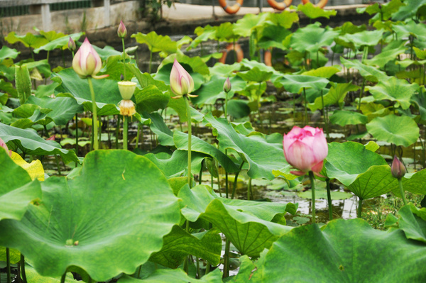 自驾宜兴,深氧健身洗肺之旅