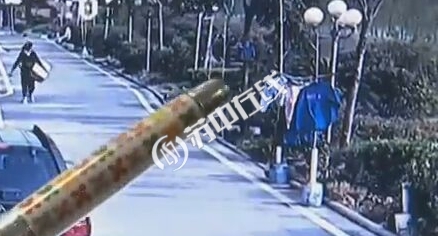 江苏宜兴2名推销员顺手拎走两只宠物鸟其中一只鹩哥能说人话