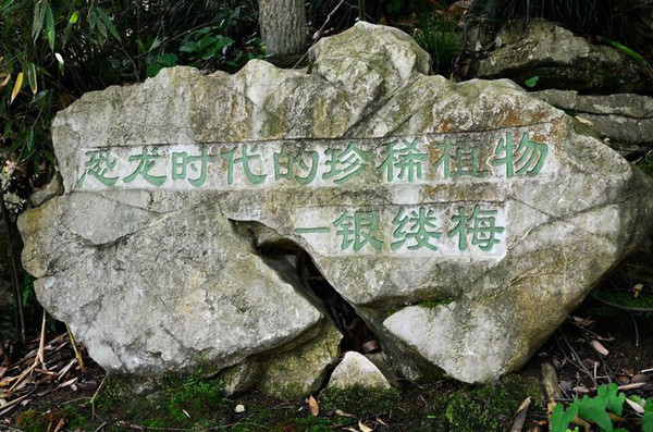宜兴善卷洞,不可多得的仙境