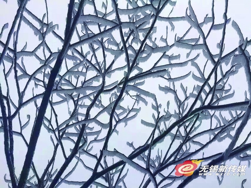 2016年的第一场雪出现在宜兴山里