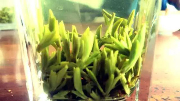 十里亭紫砂:春茶中的精品是什么