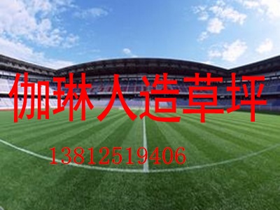 宜兴市杨巷镇伽琳人造草坪厂