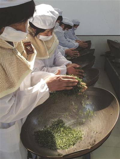 宜兴春茶上市比普通春茶早15天