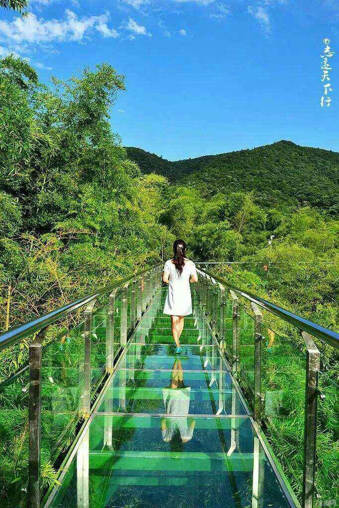 踏春宜兴湖滏,饱览洞天竹海