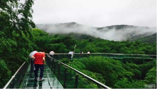 踏春宜兴湖滏,饱览洞天竹海