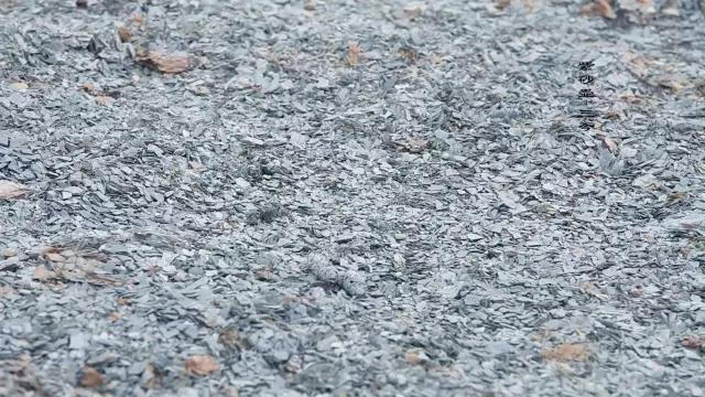 紫砂矿分开堆放