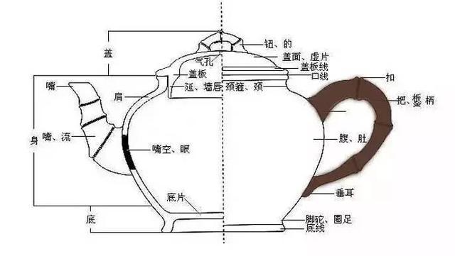 紫砂壶的壶把隐藏什么信息