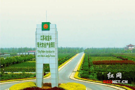 宜兴农业产业园区园中有园兰花培育基地里品茶(组图)