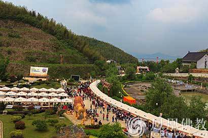 宜兴国际素博会大觉寺开幕地道素食风畅享绿色生活