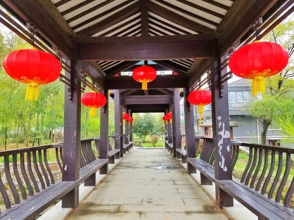 【江苏】行尽江南是宜兴,慢行湖父深醉氧