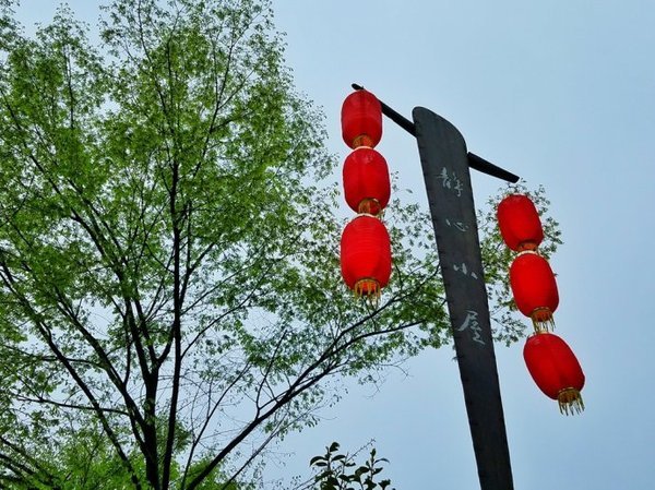 【江苏】行尽江南是宜兴,慢行湖父深醉氧