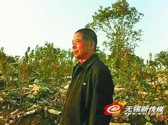 宜兴老农民坚守山林20年多亩乱石岗变身花果山