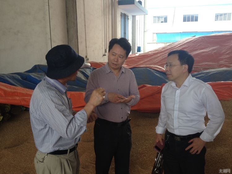 张海泉局长一行调研指导宜兴市夏粮收购等工作