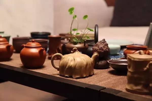 玩壶者说|访紫砂鉴赏收藏家陈建伟、壶艺名家李卫明