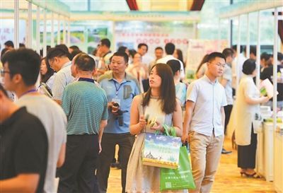 宜兴推广休闲度假产品包括穿越茶田等活动