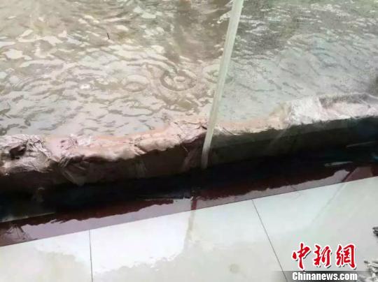 探访水中宜兴:紫砂土以前用来做壶,现在用来挡水