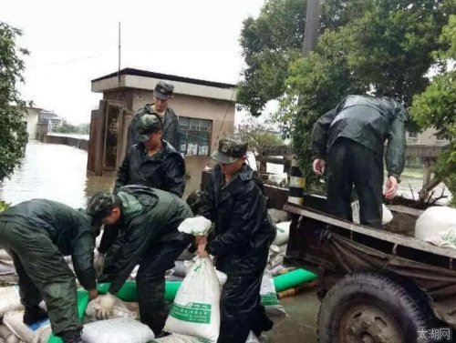 宜兴市粮食局凝心聚力战洪灾全力以赴保粮安