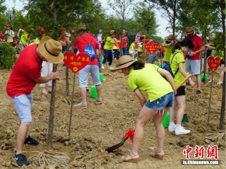 77对新人在梁祝传说发源地宜兴种植爱情树迎七夕