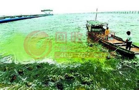 江苏宜兴一塑料加工厂废水直排太湖致严重水污染责任人被刑拘