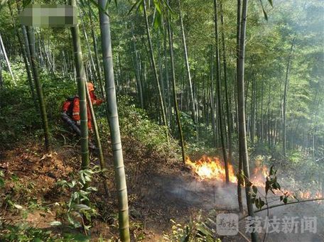 无锡宜兴发生山林火灾火灾原因尚在调查中(组图)