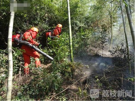 无锡宜兴发生山林火灾火灾原因尚在调查中(组图)