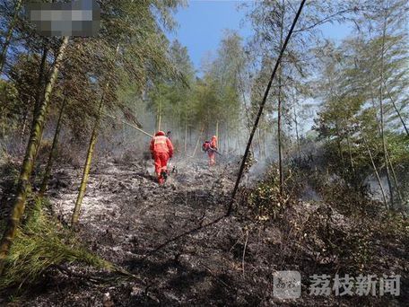 无锡宜兴发生山林火灾火灾原因尚在调查中(组图)