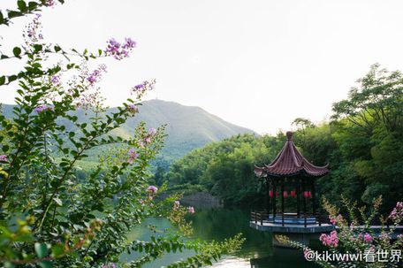 湖父镇哪些风景区图片