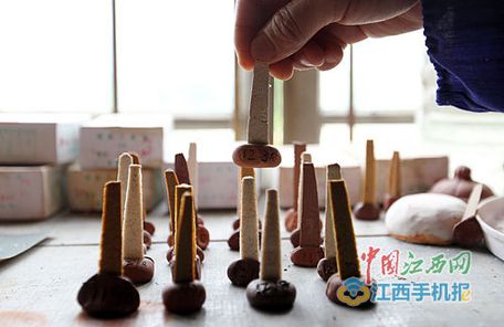 瓷都来了紫砂匠(多图)