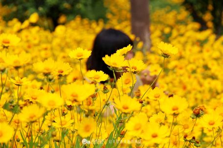 别有洞天,宜兴善卷洞