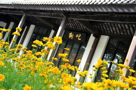 别有洞天,宜兴善卷洞