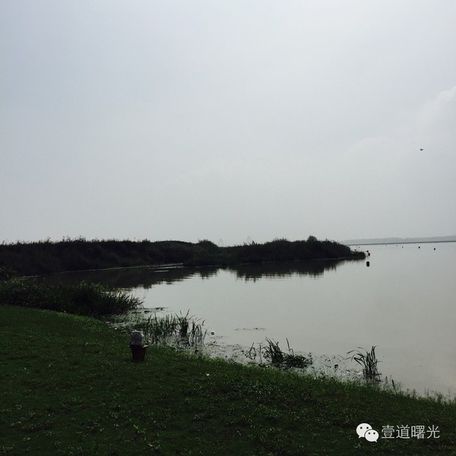 王曙光《访宜兴徐悲鸿艺术馆》