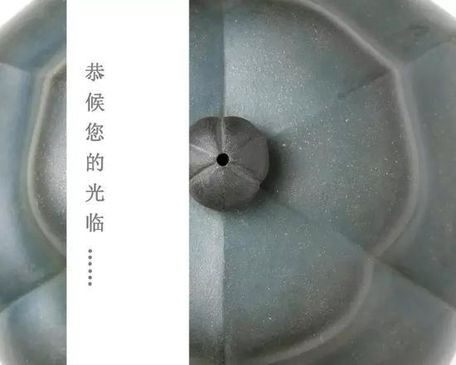 「花非花」中国紫砂泰斗蒋蓉珍品展