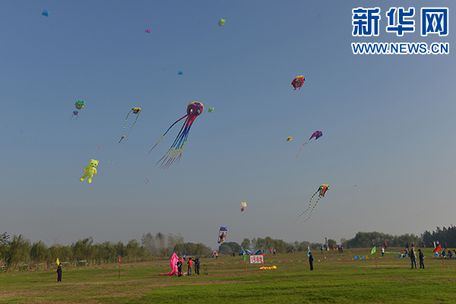 中国•宜兴第十九届太湖风筝节在周铁开赛