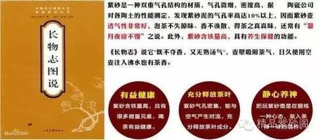 揭秘:紫砂壶背后不为人知的价值