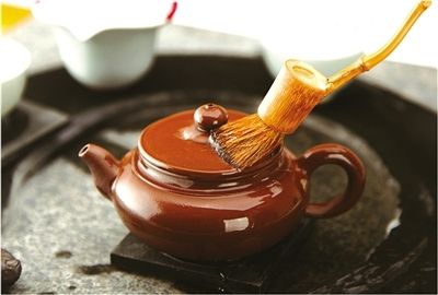 紫砂壶这样养,不如不养