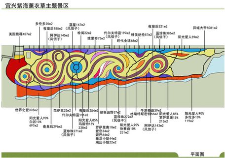 宜兴湖㳇熏衣草庄园2017年3月将绽放百万株荷兰郁金香