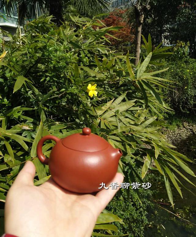 大红袍<b>紫砂</b>壶并不