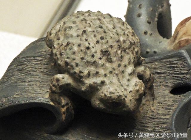春光正烂漫|带你去博物馆看<b>紫砂</b>花货